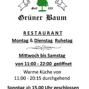 Landgasthof Gruener Baum Hotel
